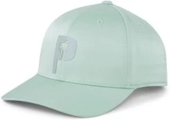 PUMA X PTC Men's Palm Tree Golf Cap -Professional Golf Equipment Store 02464503 AQUAGREEN AL