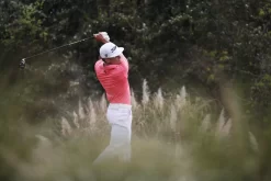 FootJoy 2023 StaSof Golf Glove -Professional Golf Equipment Store 66770 NOCOLOR DET alt2